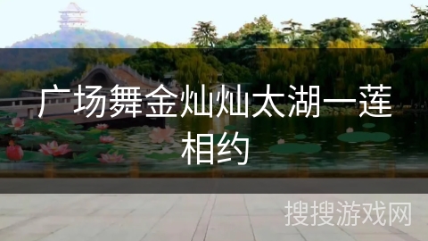 广场舞金灿灿太湖一莲相约