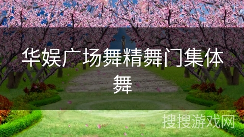 华娱广场舞精舞门集体舞