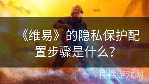 《维易》的隐私保护配置步骤是什么？