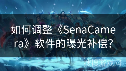 如何调整《SenaCamera》软件的曝光补偿？