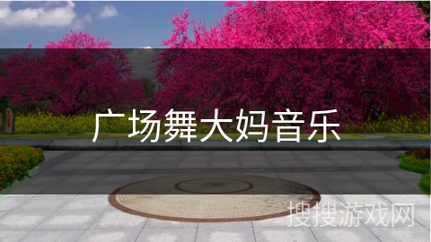 广场舞大妈音乐