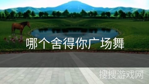 哪个舍得你广场舞