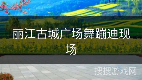 丽江古城广场舞蹦迪现场