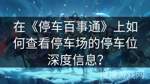 在《停车百事通》上如何查看停车场的停车位深度信息？