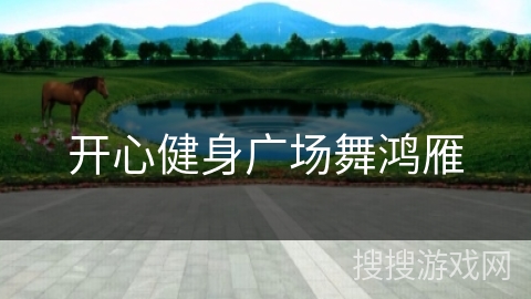 开心健身广场舞鸿雁