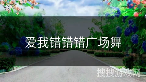 爱我错错错广场舞