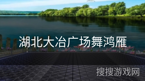 湖北大冶广场舞鸿雁