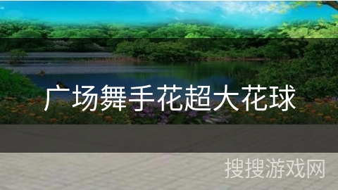 广场舞手花超大花球