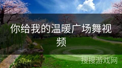 你给我的温暖广场舞视频