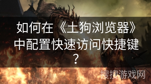 如何在《土狗浏览器》中配置快速访问快捷键？