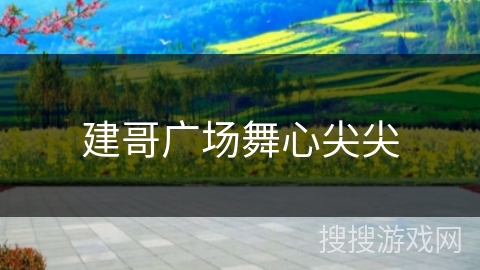 建哥广场舞心尖尖