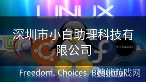 深圳市小白助理科技有限公司