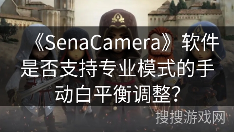 《SenaCamera》软件是否支持专业模式的手动白平衡调整？
