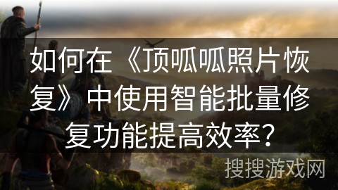 如何在《顶呱呱照片恢复》中使用智能批量修复功能提高效率？