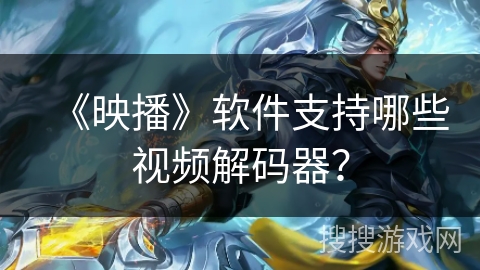 《映播》软件支持哪些视频解码器？
