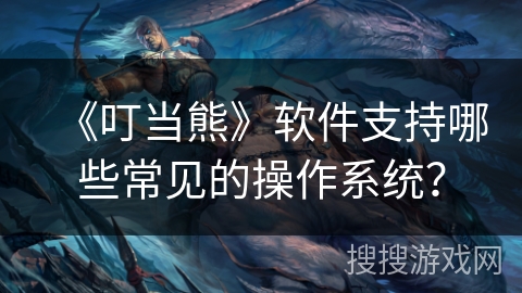《叮当熊》软件支持哪些常见的操作系统？
