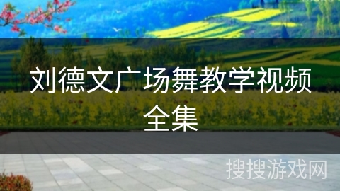 刘德文广场舞教学视频全集