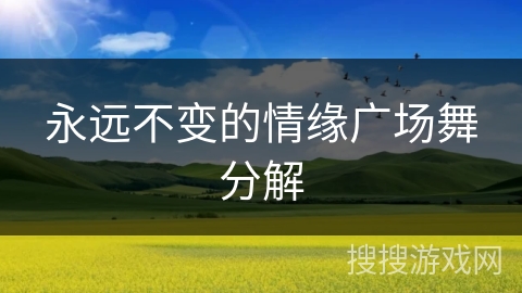 永远不变的情缘广场舞分解