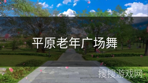 平原老年广场舞