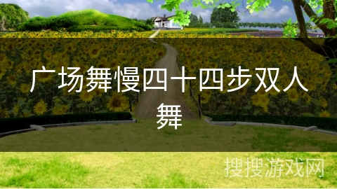 广场舞慢四十四步双人舞