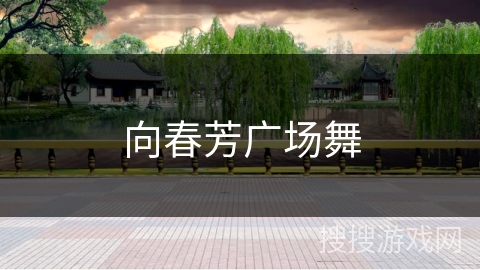 向春芳广场舞
