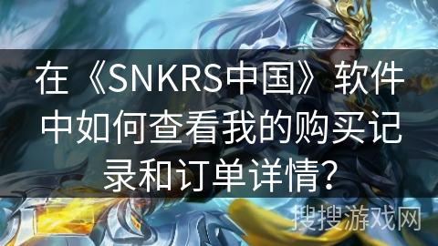 在《SNKRS中国》软件中如何查看我的购买记录和订单详情？