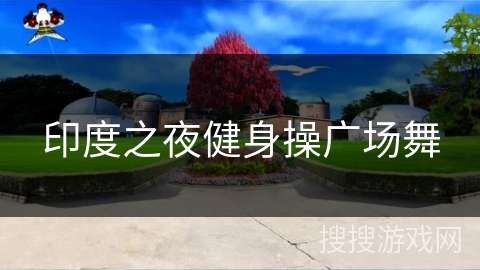 印度之夜健身操广场舞