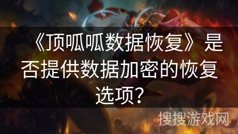 《顶呱呱数据恢复》是否提供数据加密的恢复选项？