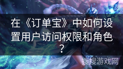 在《订单宝》中如何设置用户访问权限和角色？
