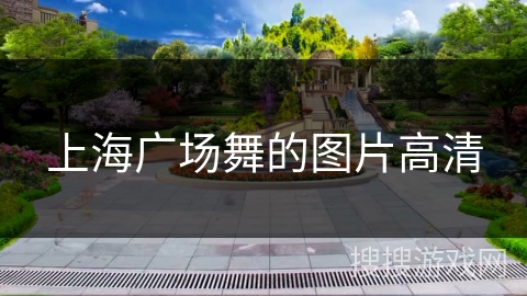 上海广场舞的图片高清