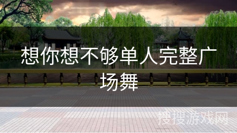 想你想不够单人完整广场舞