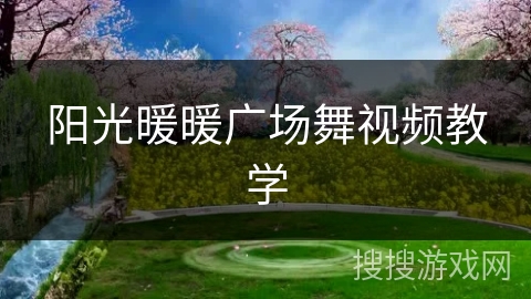 阳光暖暖广场舞视频教学