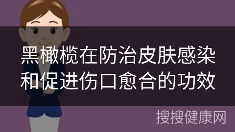 黑橄榄在防治皮肤感染和促进伤口愈合的功效