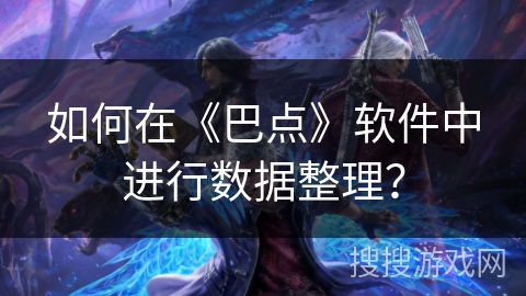 如何在《巴点》软件中进行数据整理？