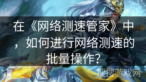 在《网络测速管家》中，如何进行网络测速的批量操作？