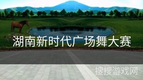湖南新时代广场舞大赛