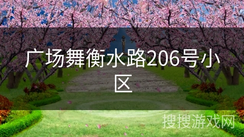 广场舞衡水路206号小区