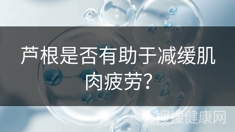 芦根是否有助于减缓肌肉疲劳？