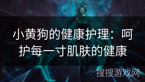 小黄狗的健康护理：呵护每一寸肌肤的健康