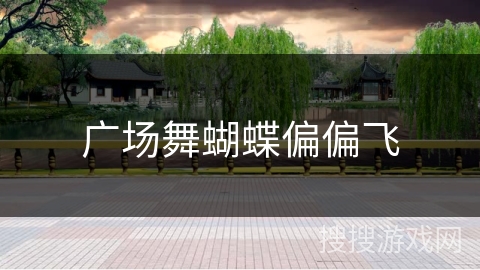 广场舞蝴蝶偏偏飞