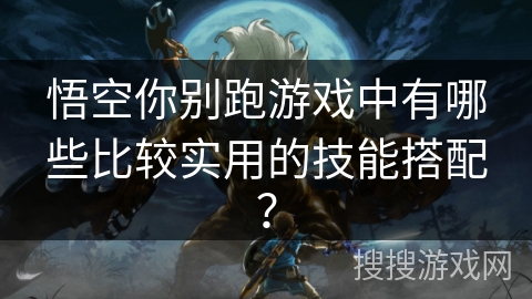 悟空你别跑游戏中有哪些比较实用的技能搭配？