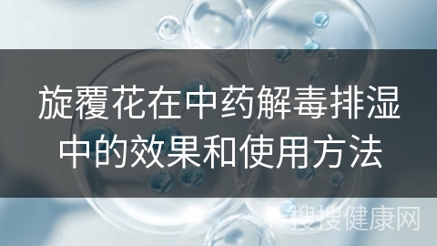 旋覆花在中药解毒排湿中的效果和使用方法