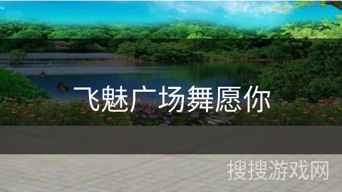 飞魅广场舞愿你