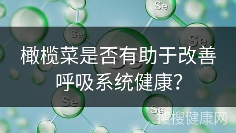 橄榄菜是否有助于改善呼吸系统健康？