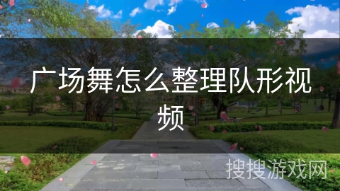 广场舞怎么整理队形视频