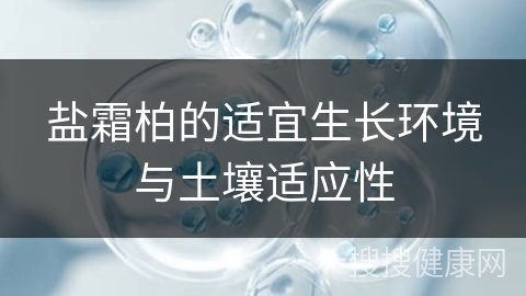 盐霜柏的适宜生长环境与土壤适应性