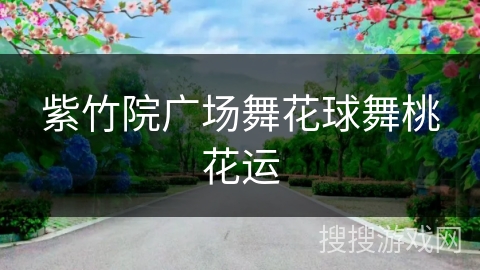 紫竹院广场舞花球舞桃花运