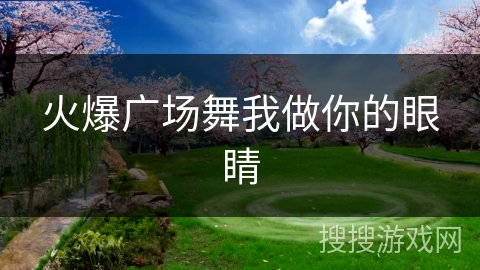 火爆广场舞我做你的眼睛