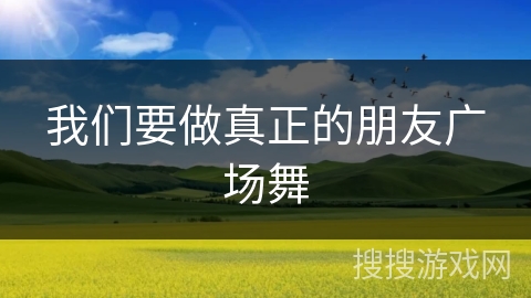 我们要做真正的朋友广场舞