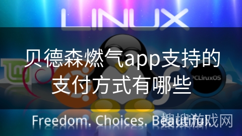 贝德森燃气app支持的支付方式有哪些